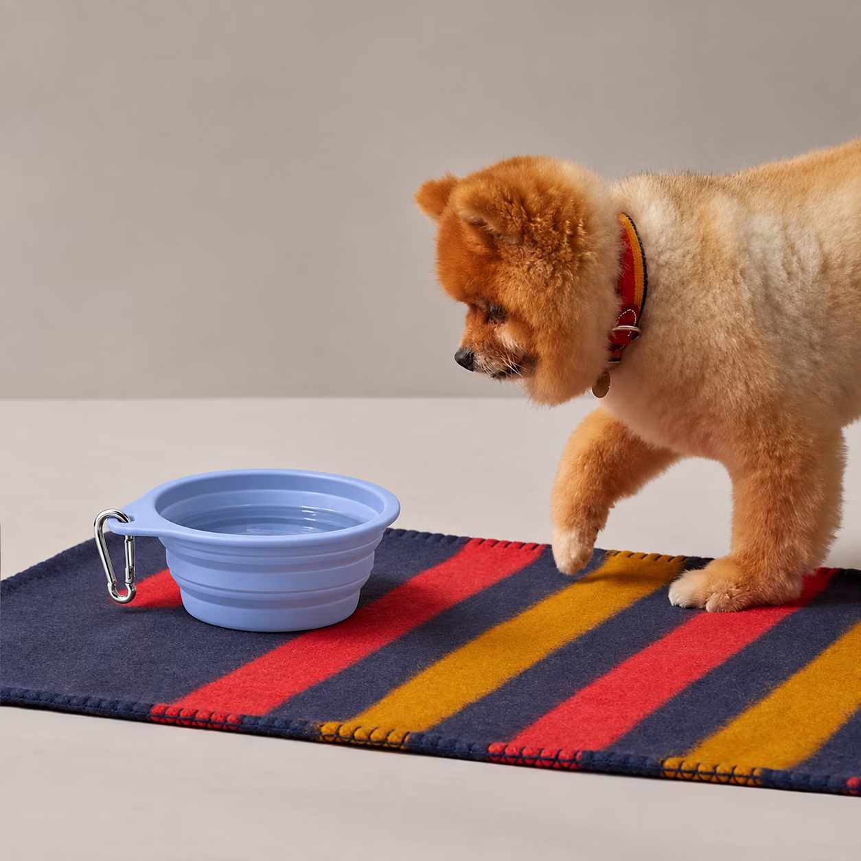 Gamelles pour chien
