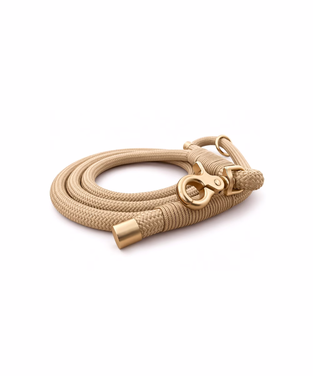 Laisse pour chien Beige - Image 2