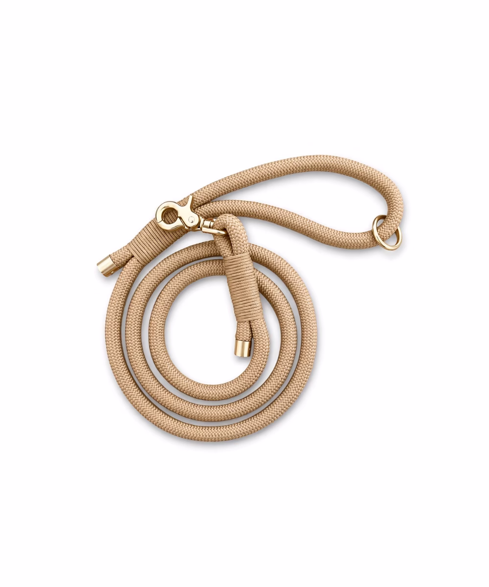 Laisse pour chien Beige - Image 1