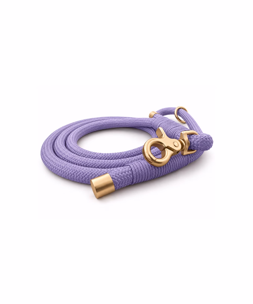 Laisse pour chien Lavande - Image 3