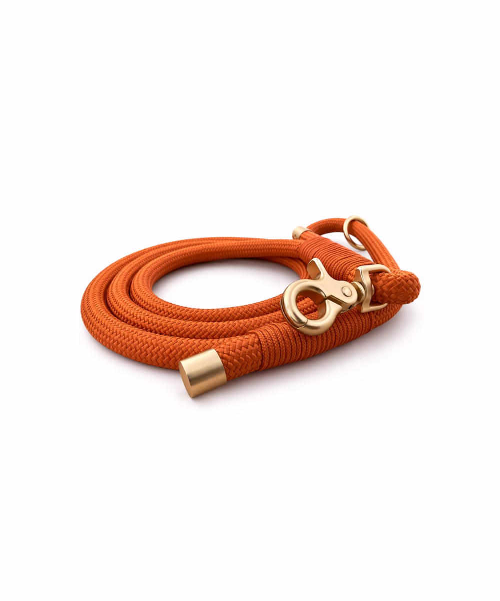 Laisse pour chien Terracotta - Image 3