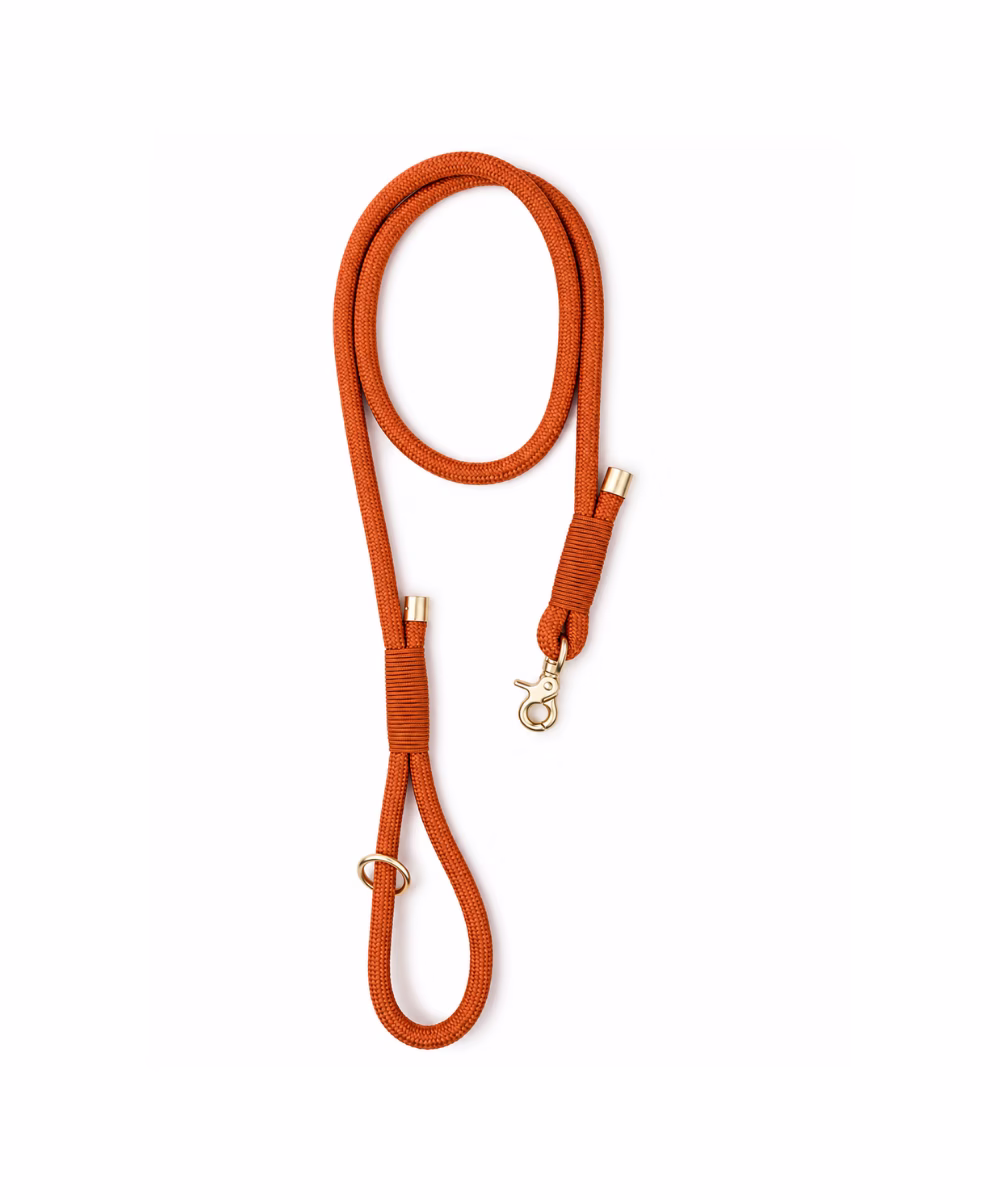 Laisse pour chien Terracotta - Image 2
