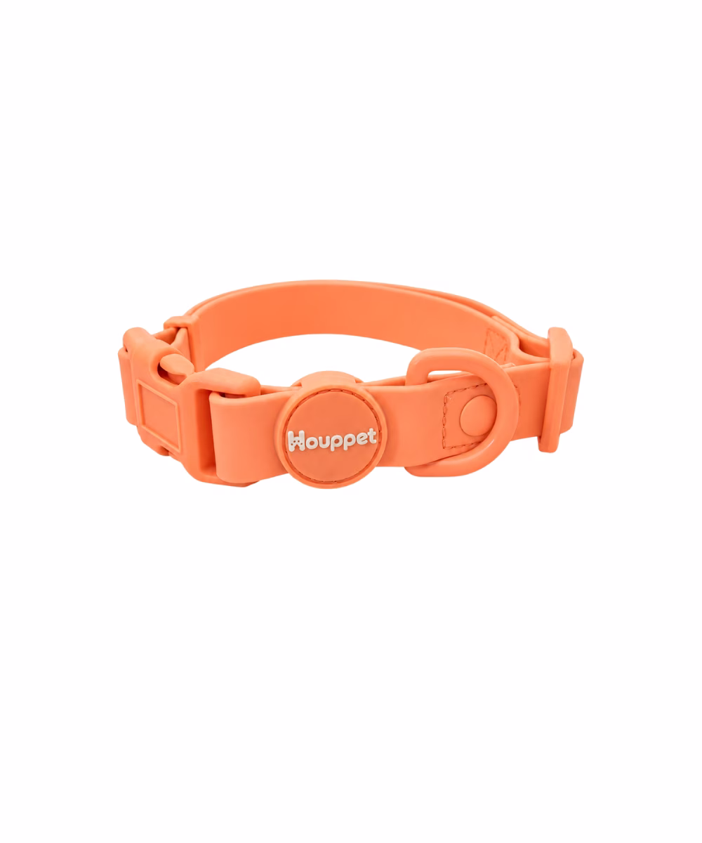 Collier pour chien Biothane Corail - Image 1