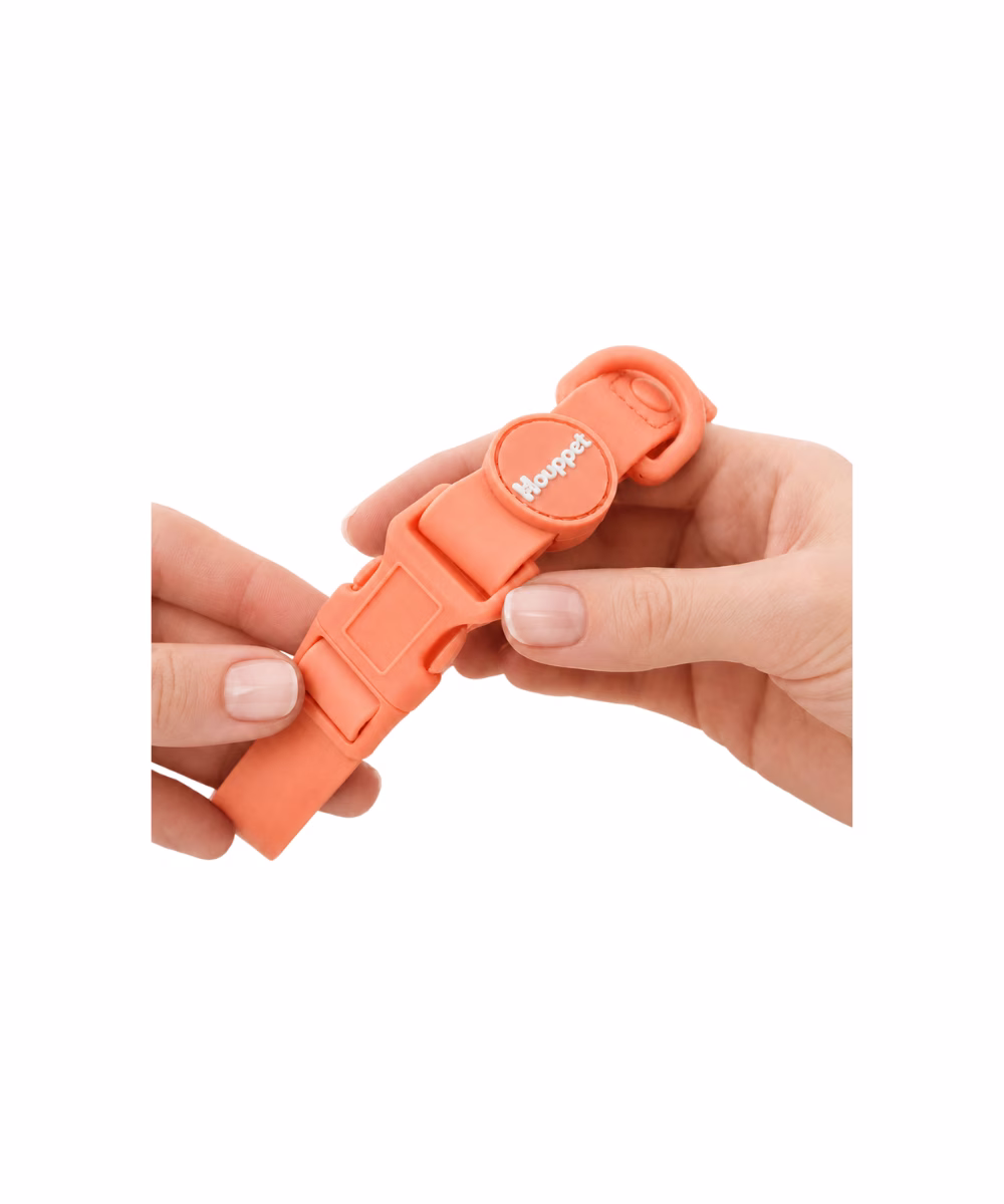Collier pour chien Biothane Corail - Image 3