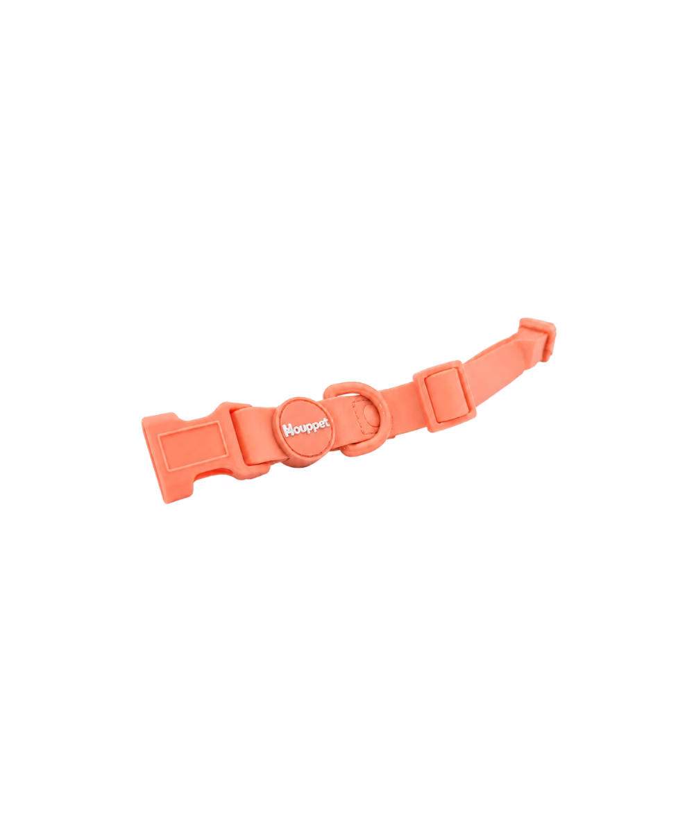 Collier pour chien Biothane Corail - Image 2