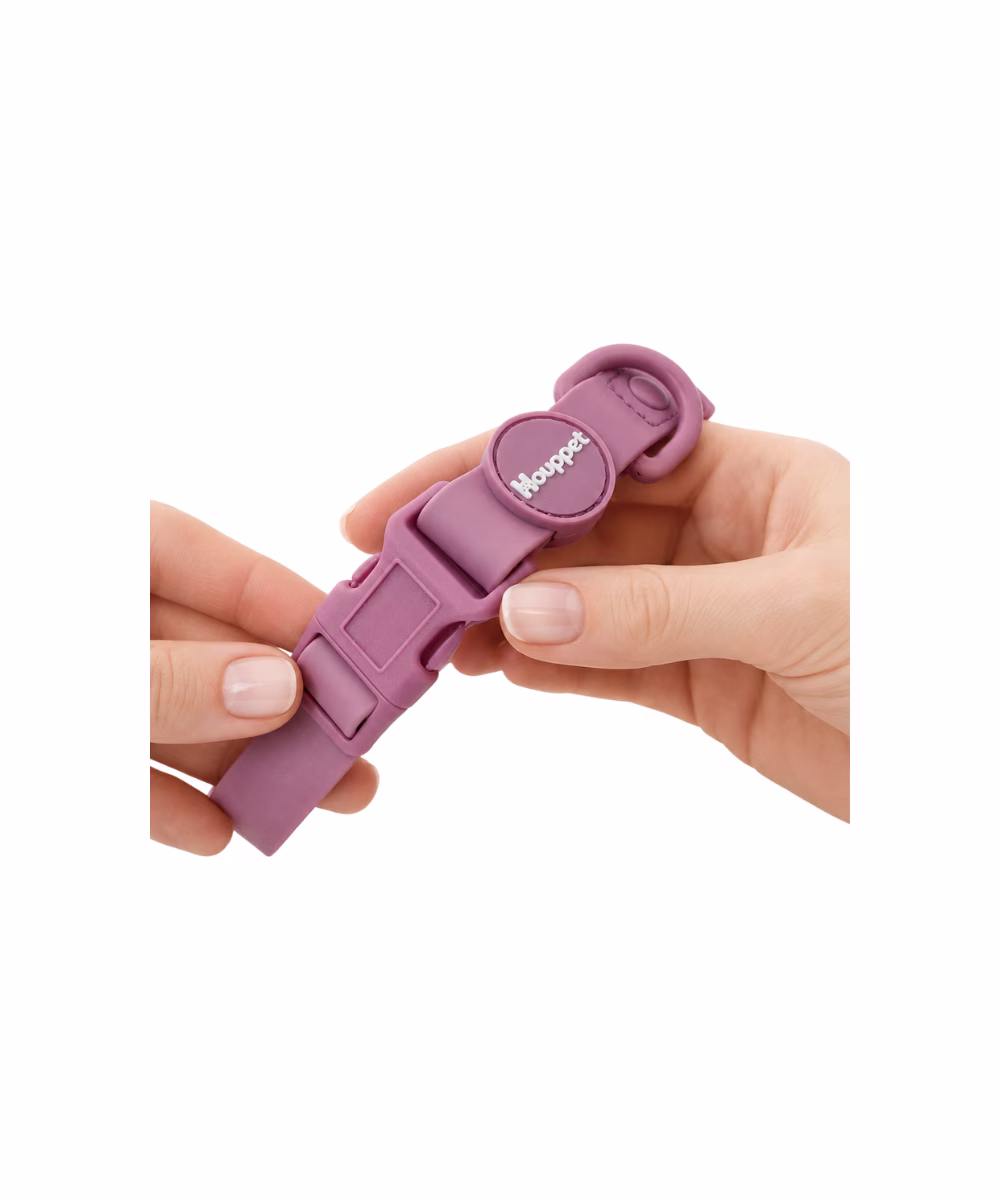 Collier pour chien Biothane Lavande - Image 3