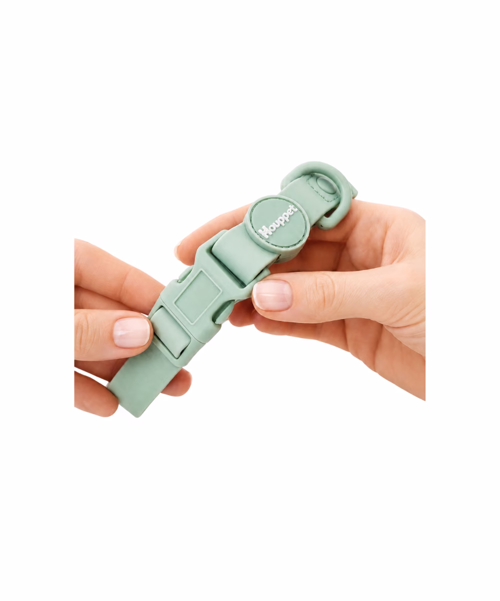 Collier pour chien Biothane Turquoise - Image 3