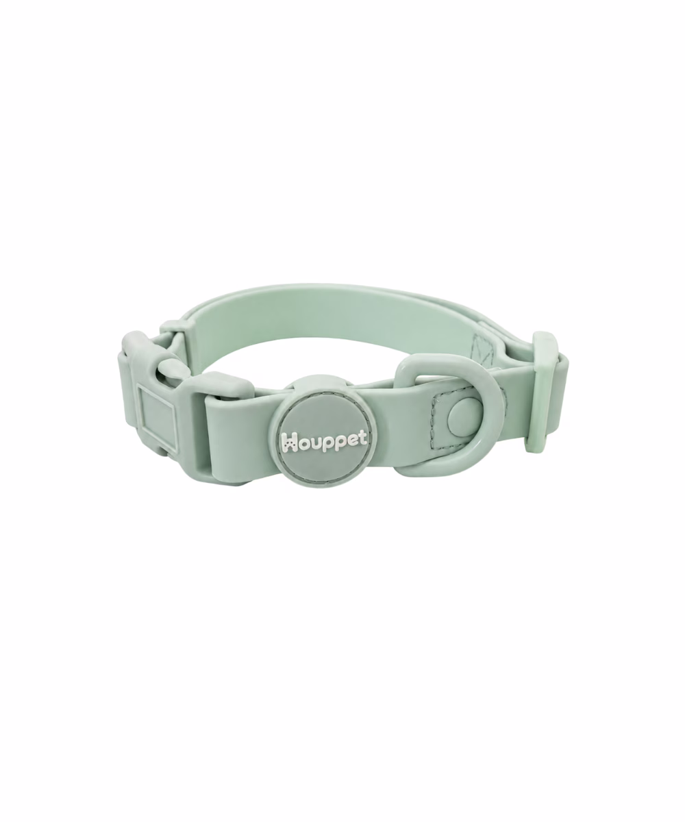 Collier pour chien Biothane Turquoise - Image 1