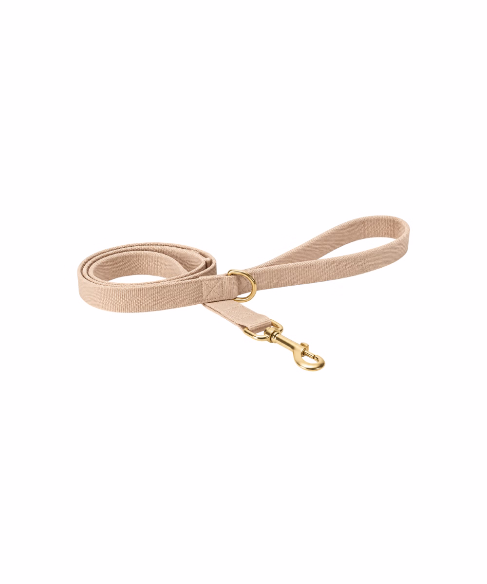 Laisse pour chat Beige - Image 1