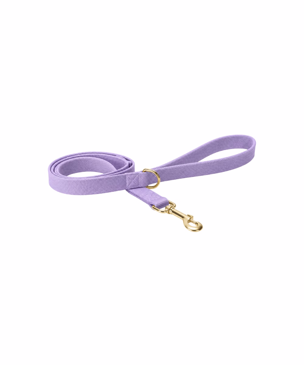 Laisse pour chat Lavande - Image 1