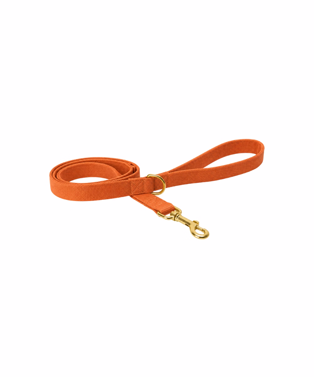 Laisse pour chat Terracotta - Image 1