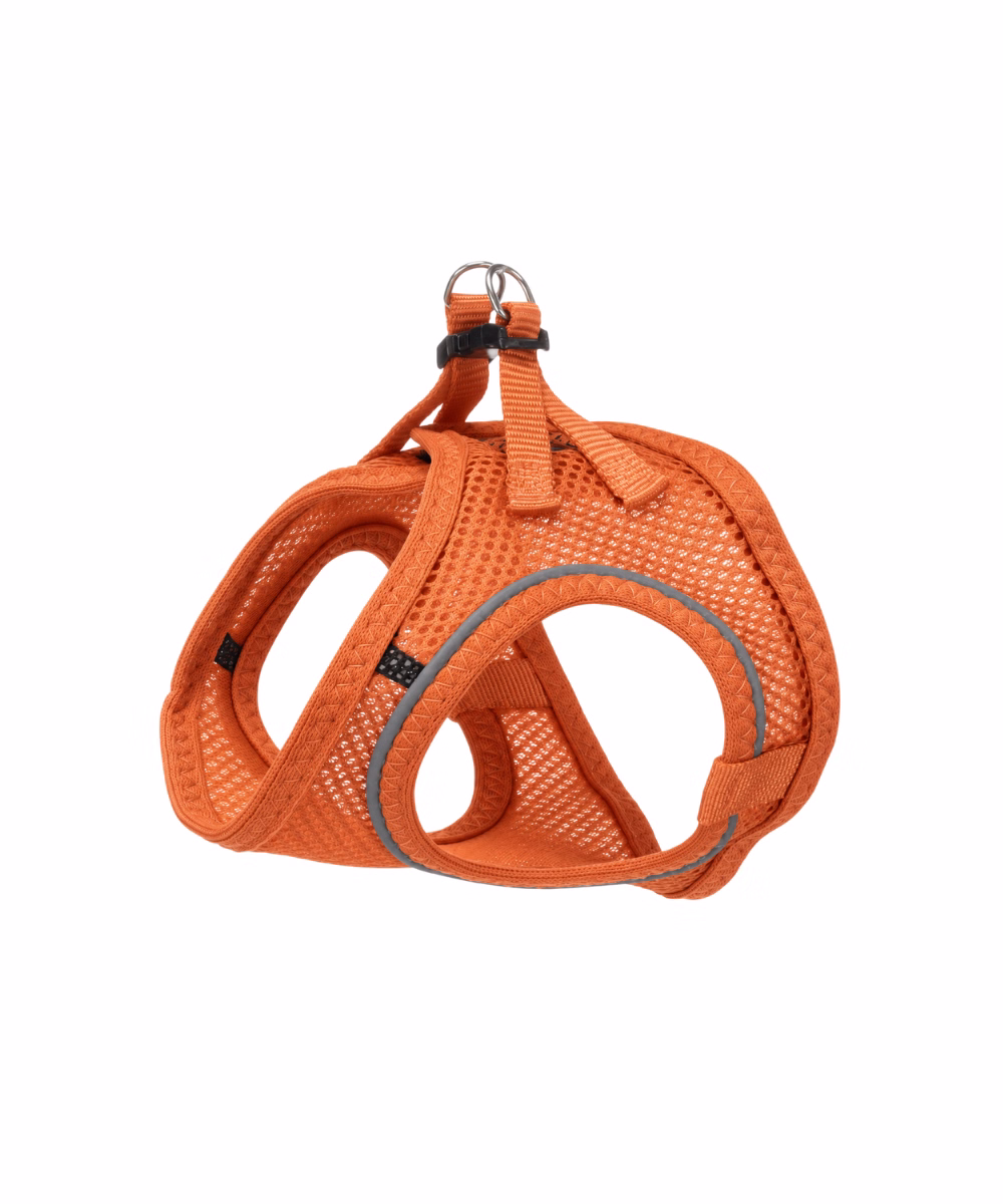 Harnais pour chat Terracotta - Image 1