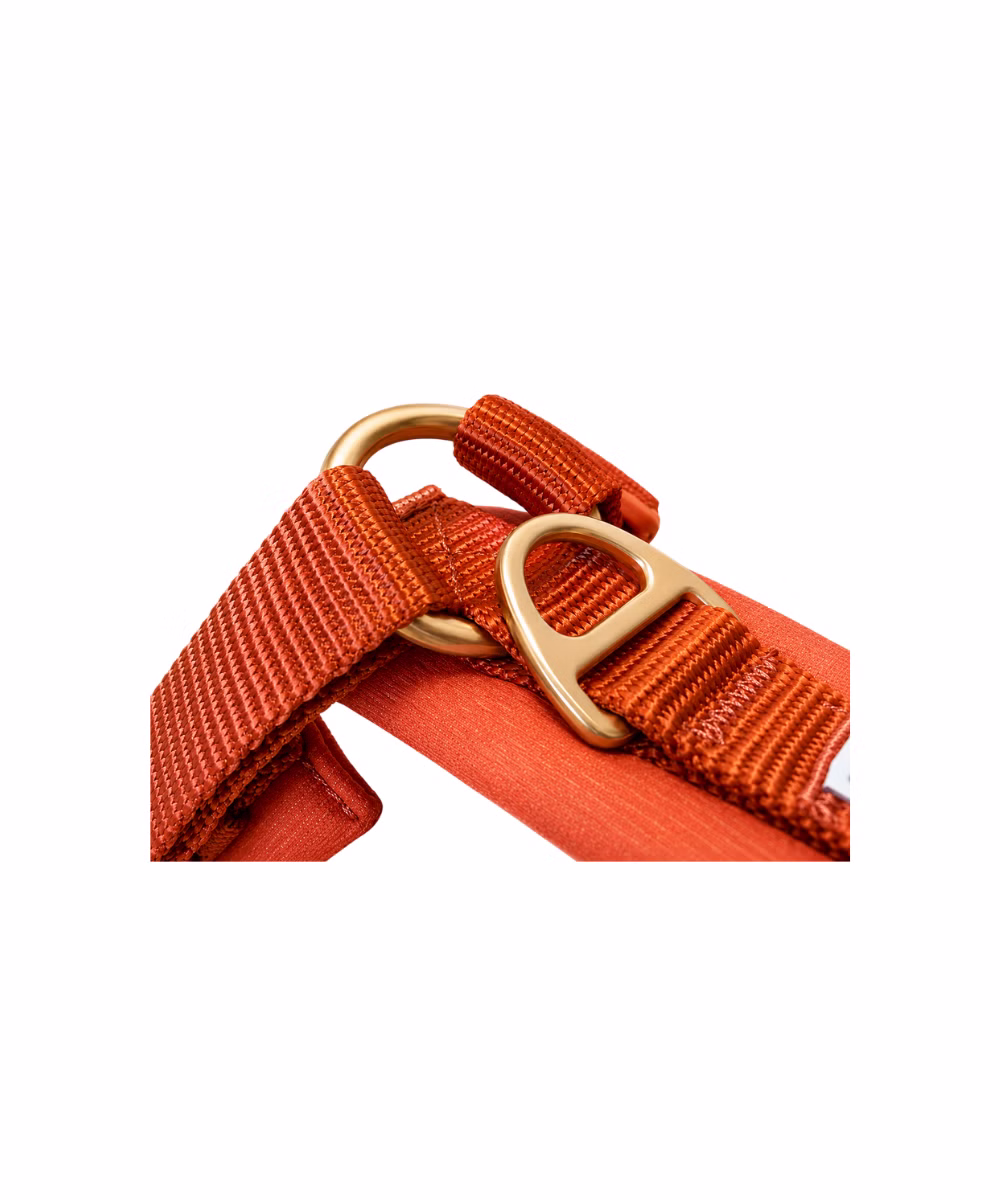 Harnais en Y pour Chien Terracotta - Image 2