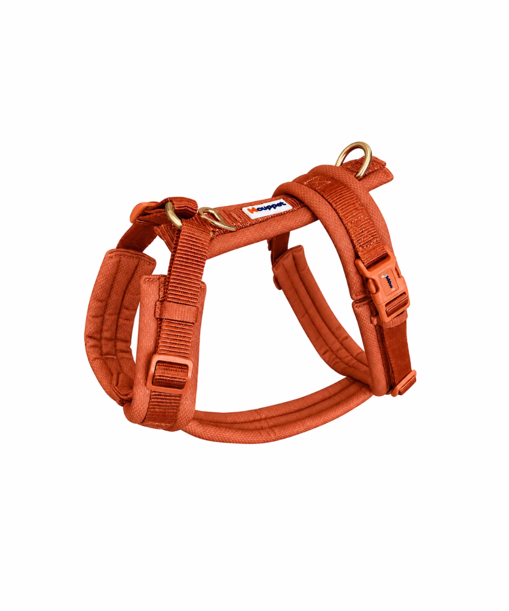 Harnais en Y pour Chien Terracotta - Image 1