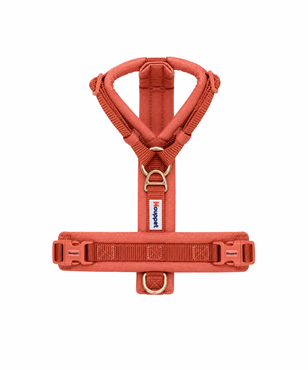Harnais en Y pour Chien Terracotta - Image 3